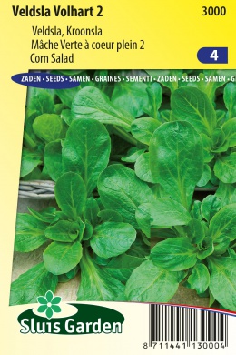 Corn Salad Volhart 2 (Valerianella) 30000 seeds SL